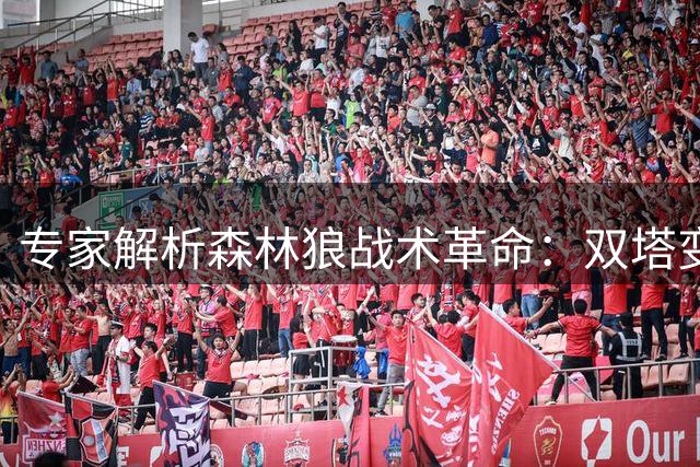 专家解析森林狼战术革命：双塔变五外打造全新体系